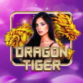 Dragon Tiger rr888 live casino